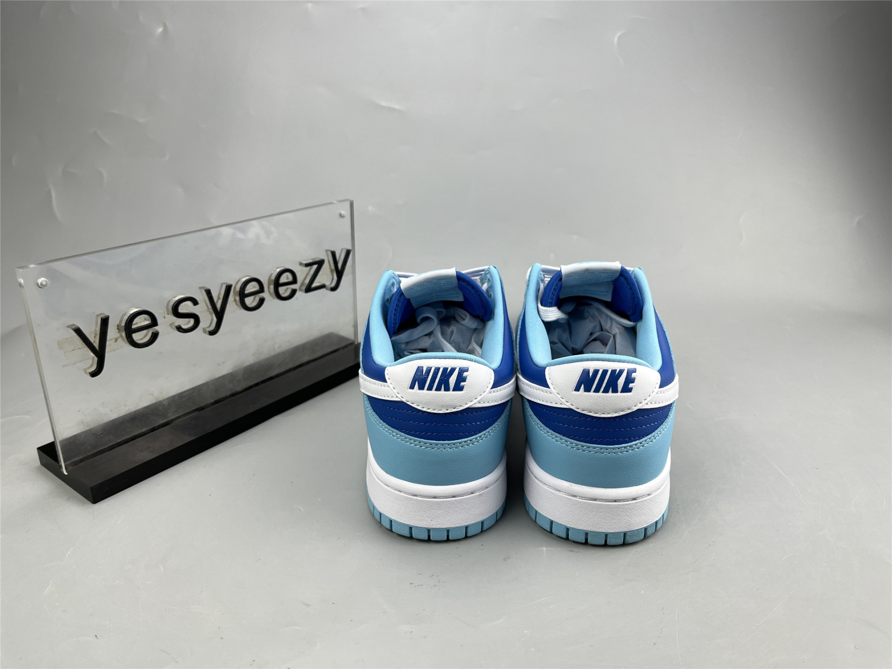 UA NIKE DUNK LOW RETRO QS 