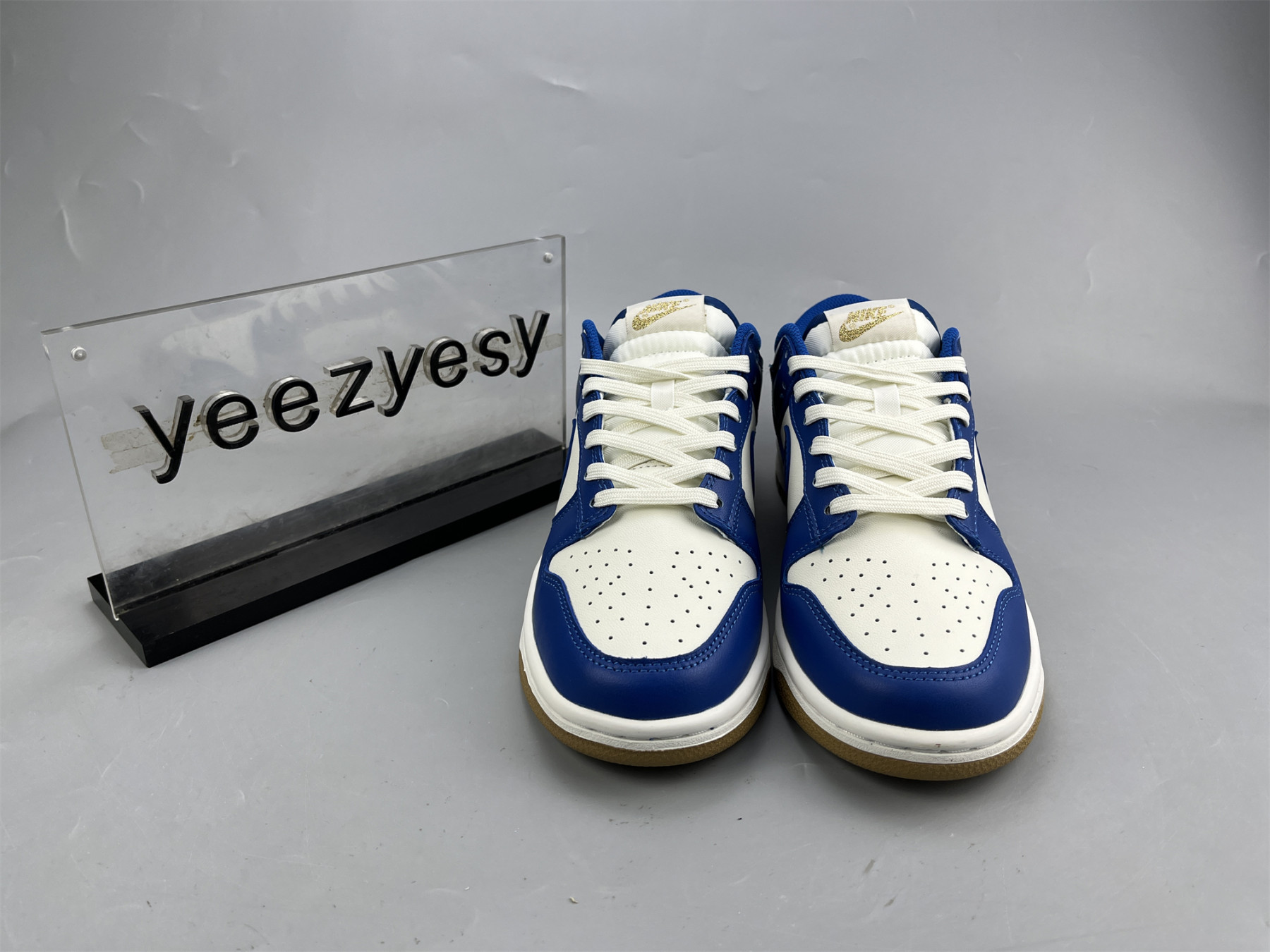 UA NIKE DUNK LOW 