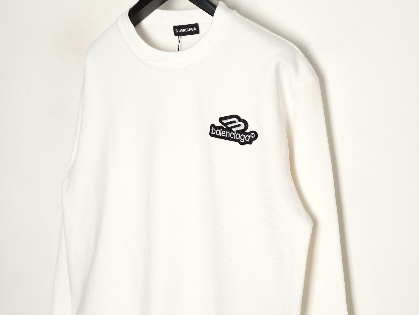 Ba1en*iaga 25FW Hoodies