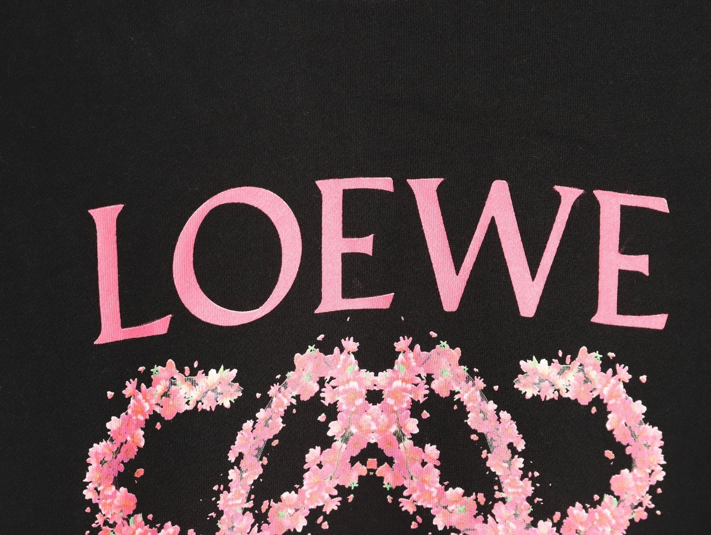 L0ew* 25FW Plush Hoodies