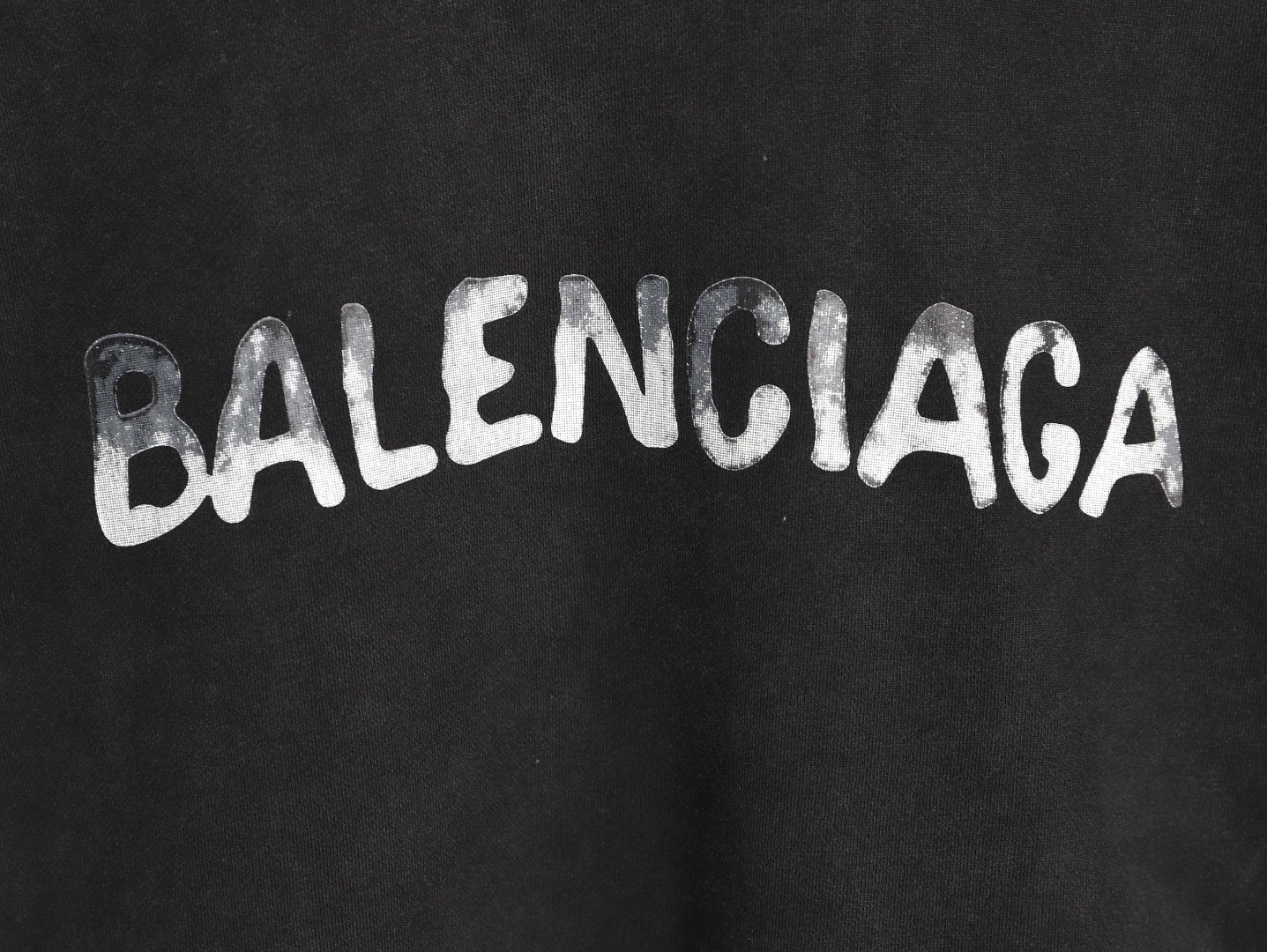Ba1en*iaga 25FW Hoodies