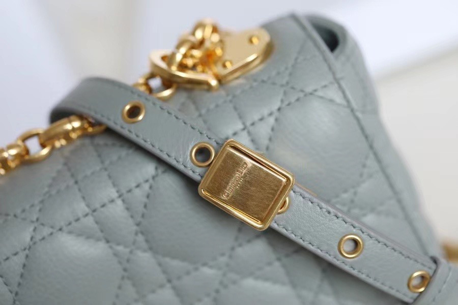 Small D10r CARO BAG