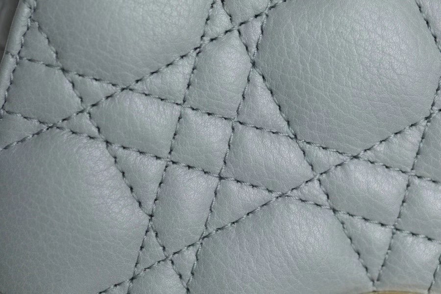 Small D10r CARO BAG
