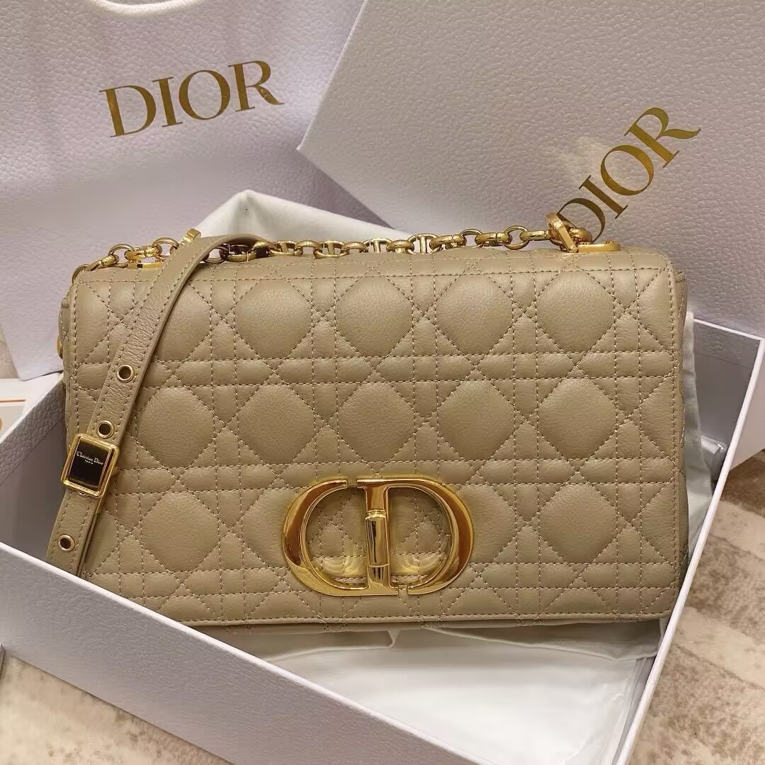 D10r Medium D10r Caro Bag 25.5x15.5x9cm