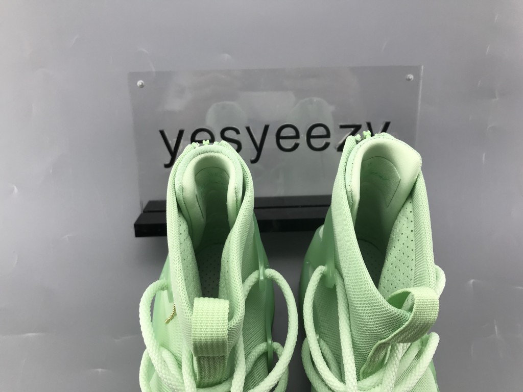 UA NIKE AIR FEAR OF GOD 1 "FROSTED SPRUCE"