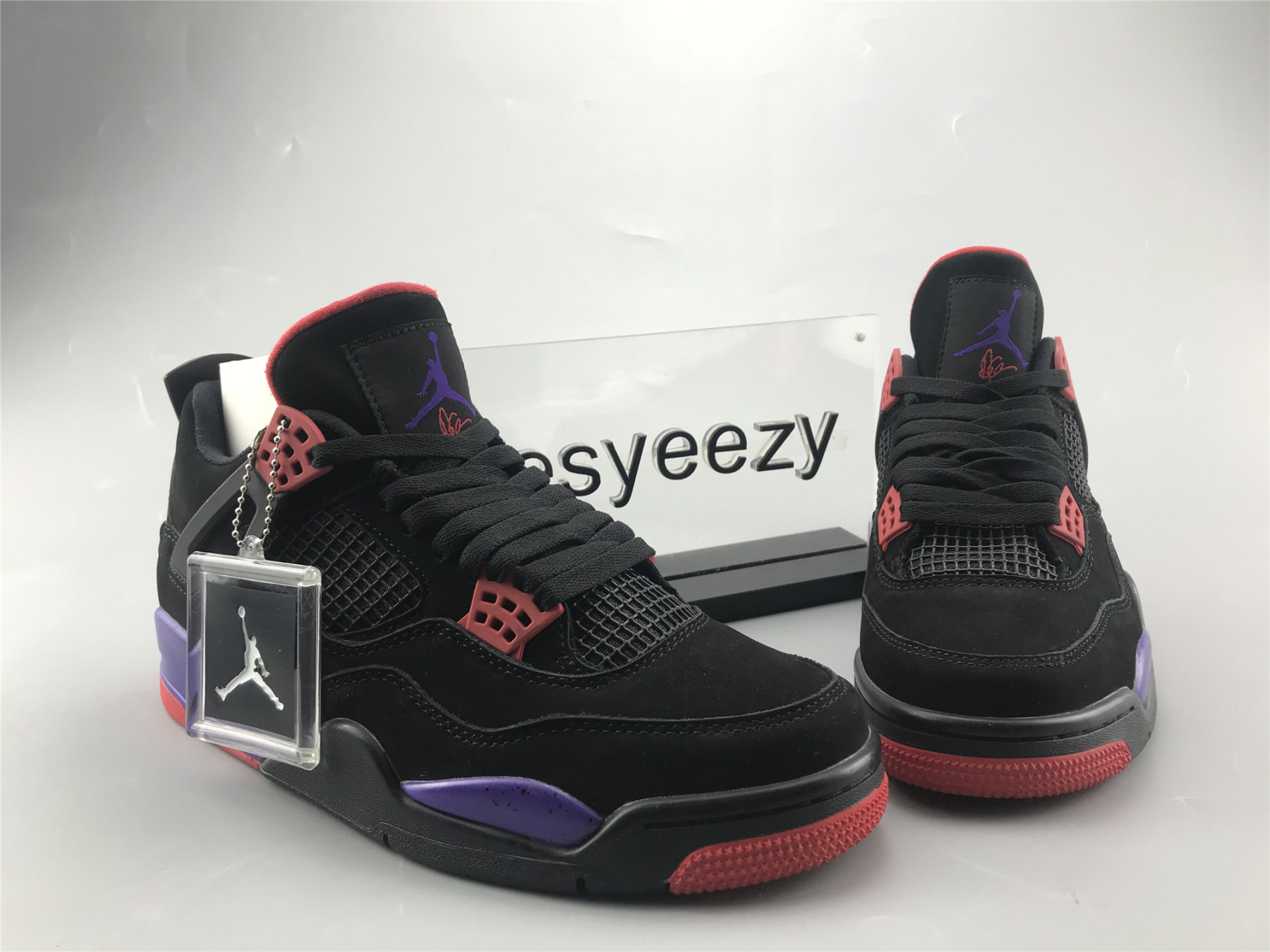 UA AIR JORDAN 4 RETRO NRG "RAPTOR - DRAKE SIGNATURE"