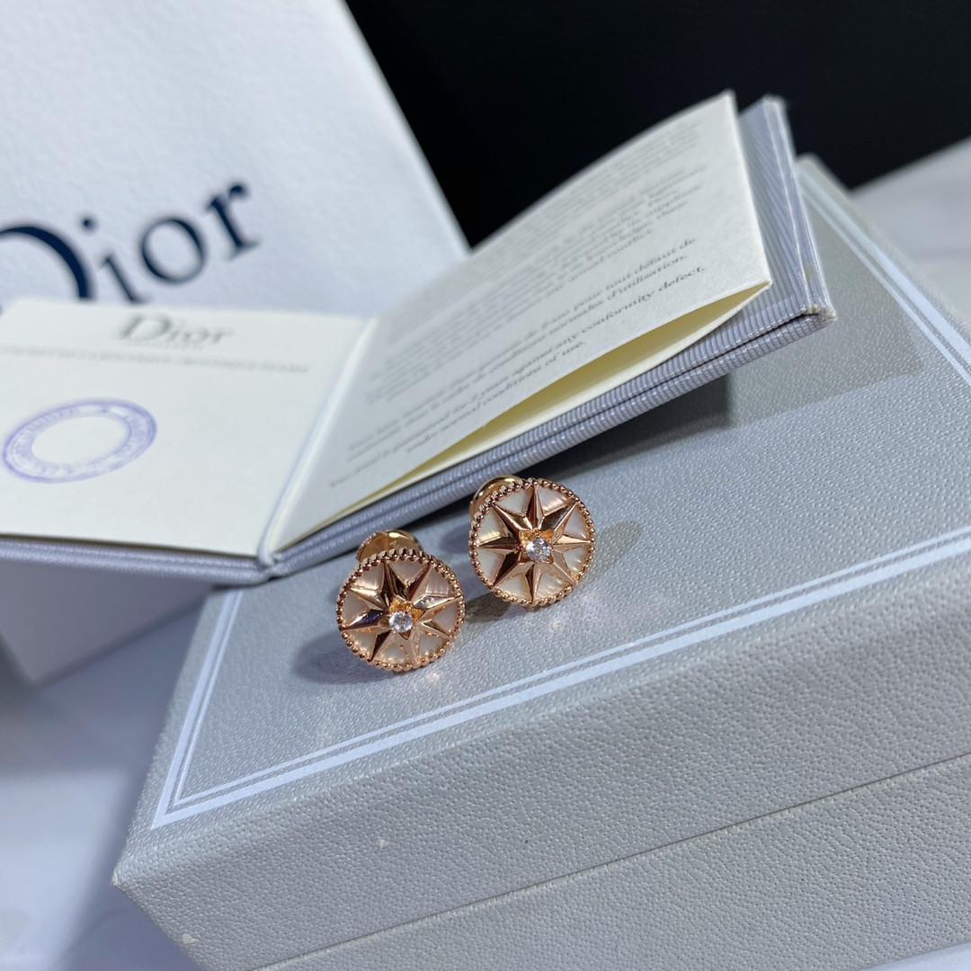 D10r compass Stud Earrings