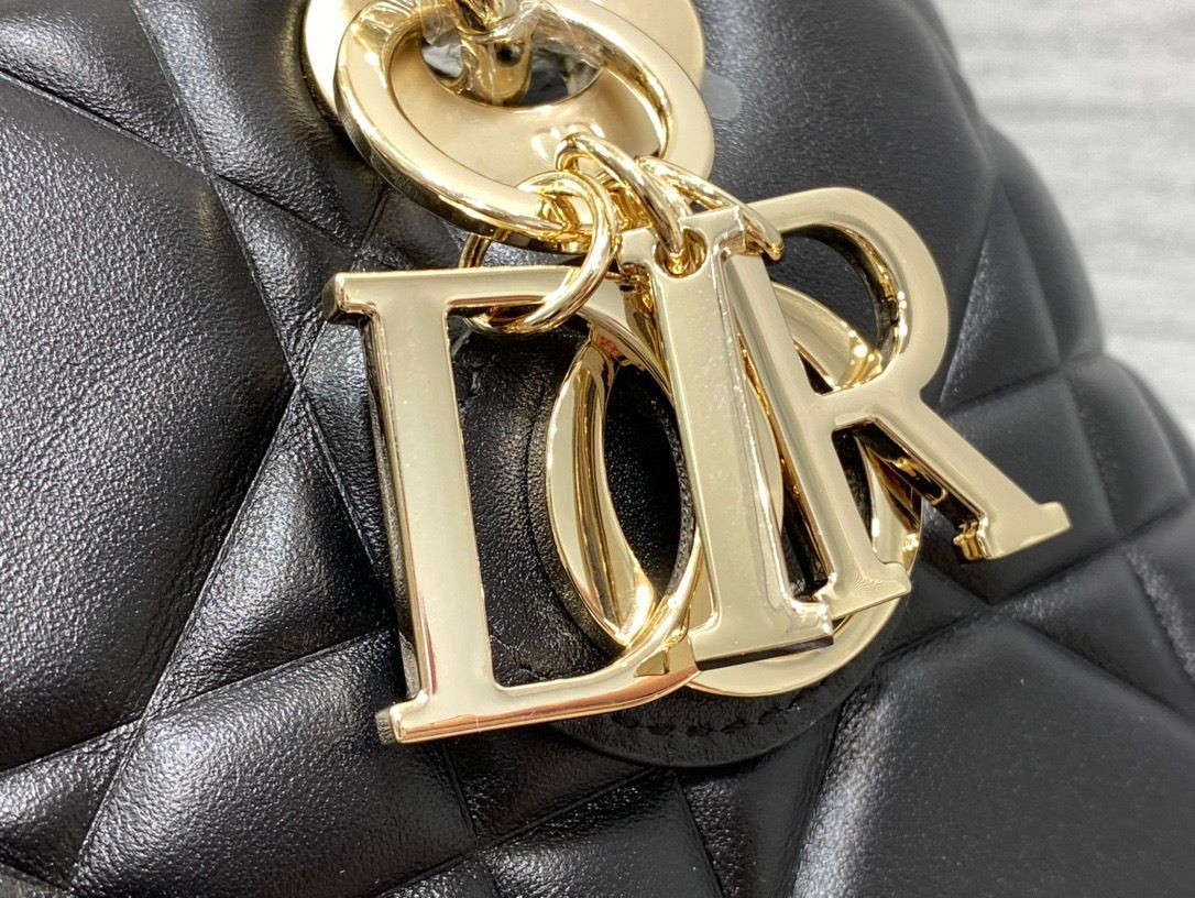 D10r Lady Handbag 24x18x10cm