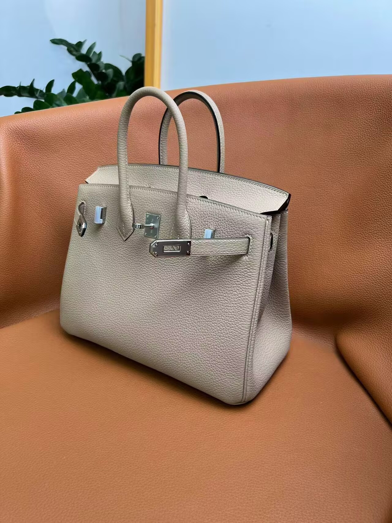H**me5 Birkin 25