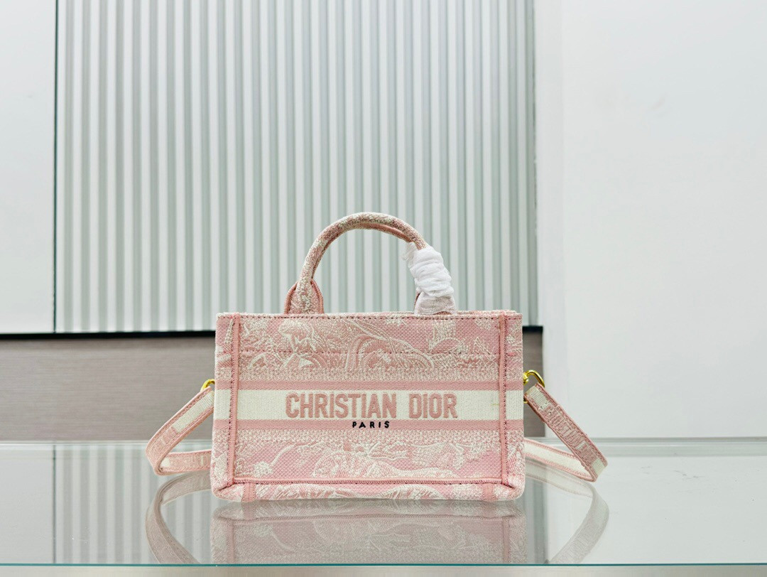 D10r book tote 24SS  21.5×13×7.5cm