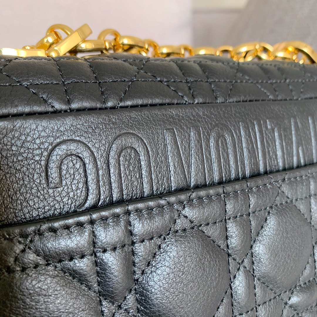 Small D10r CARO BAG