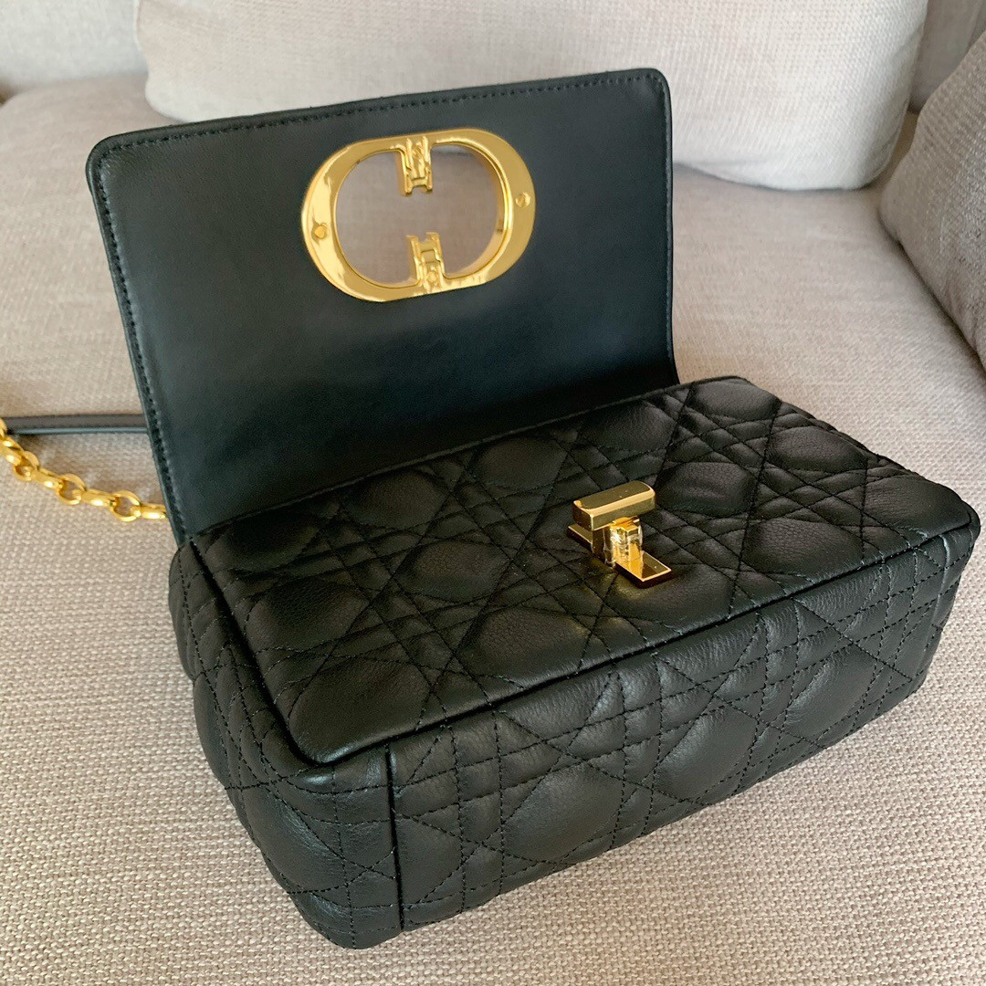 Small D10r CARO BAG