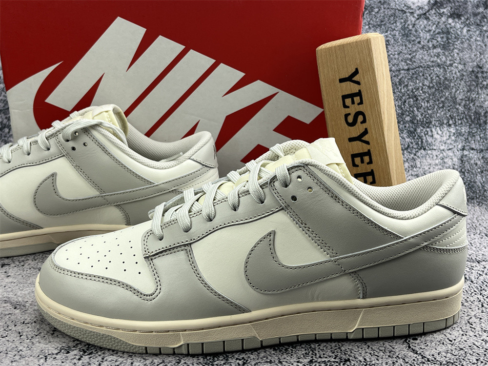 UA NIKE WMNS DUNK LOW 