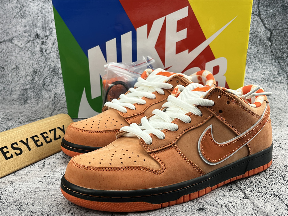 UA NIKE CONCEPTS X DUNK LOW SB 