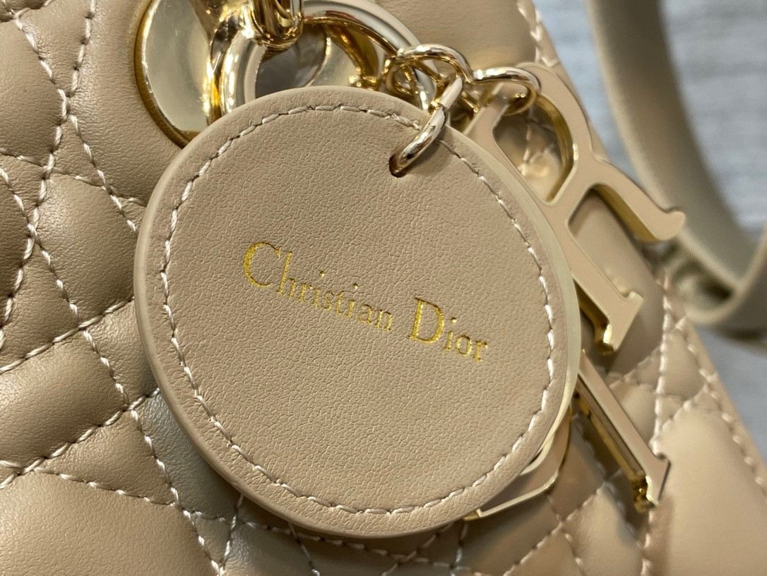 lady D10r bag 20x8x18cm