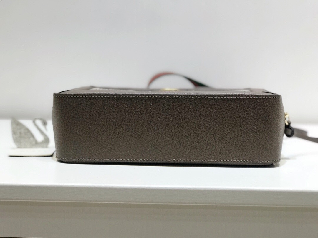 Gvc*1 GG Ophidia bag