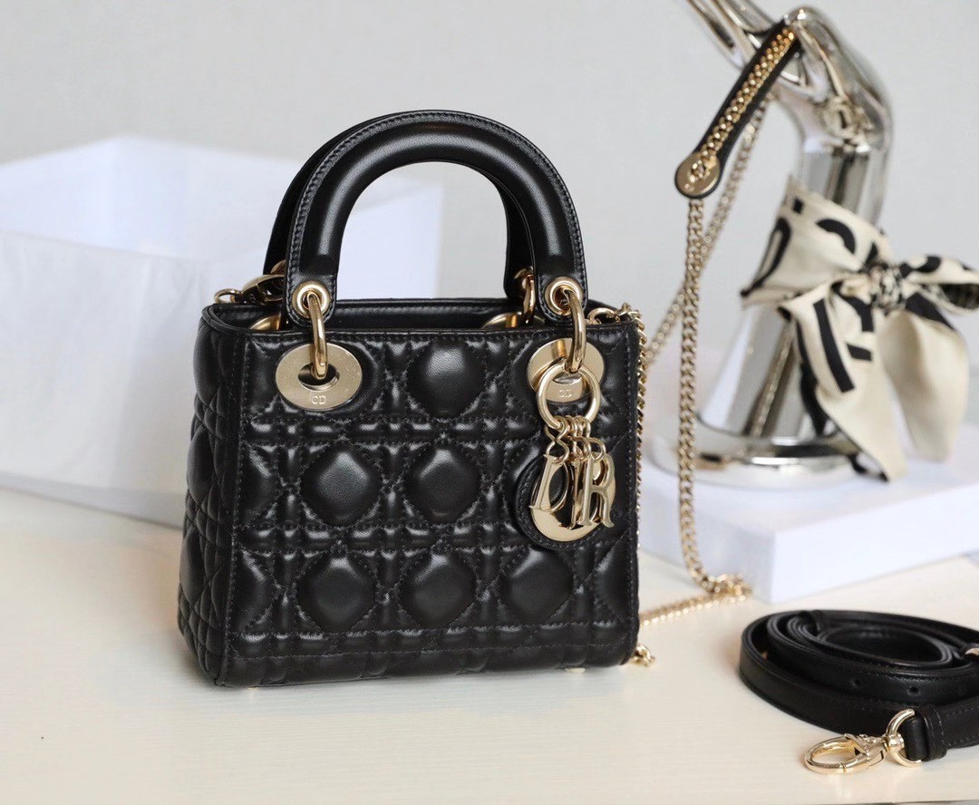 Mini Lady D10r Bag 17cm  6.5 x 6 x 3 inches