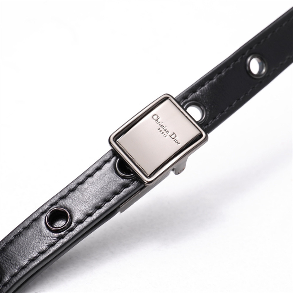 D10r CARO BAG Black S*pple Cannage Calfskin With Silver Hardware 20x12x7cm