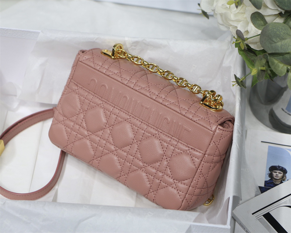 SMALL D10r CARO BAG PINK S*pple Cannage Calfskin With Silver Hardware 20 x 12 x 7 cm