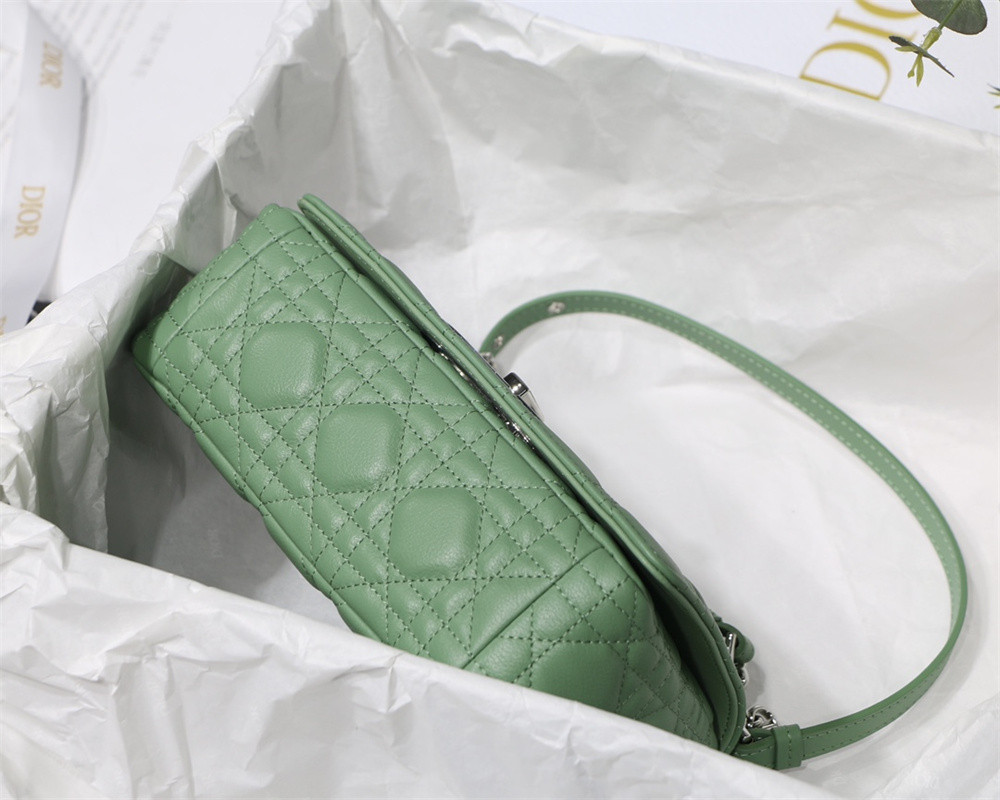 SMALL D10r CARO BAG gREEN S*pple Cannage Calfskin With Silver Hardware 20 x 12 x 7 cm