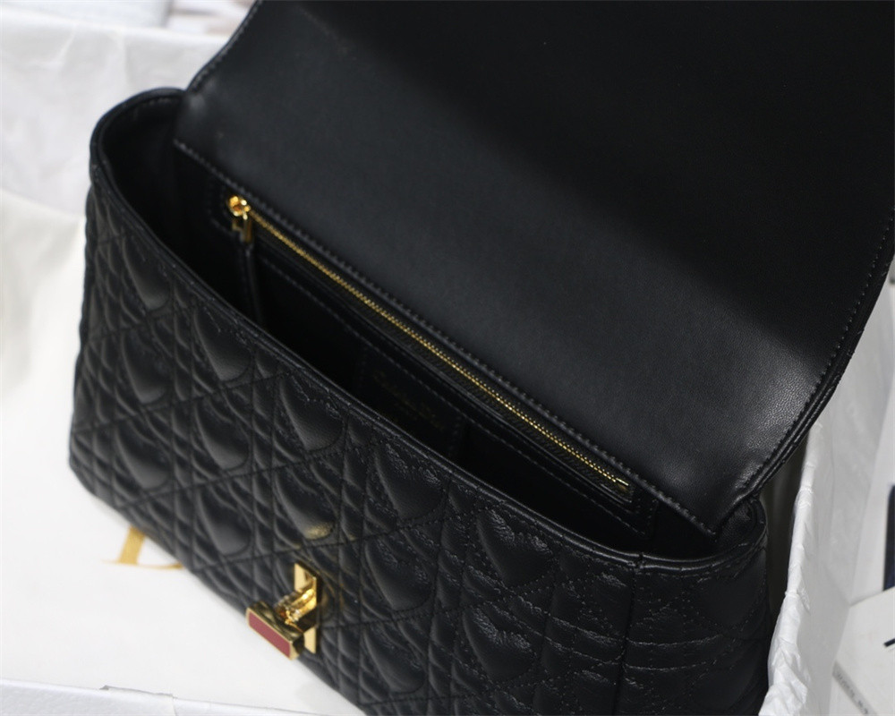 MEDIUM D10r CARO BAG amour black 25.5 x 15.5 x 8 cm