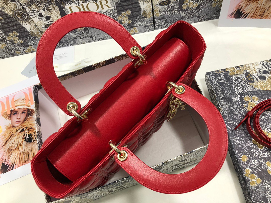 D10r Lady Bag 32 x 25 x 11cm