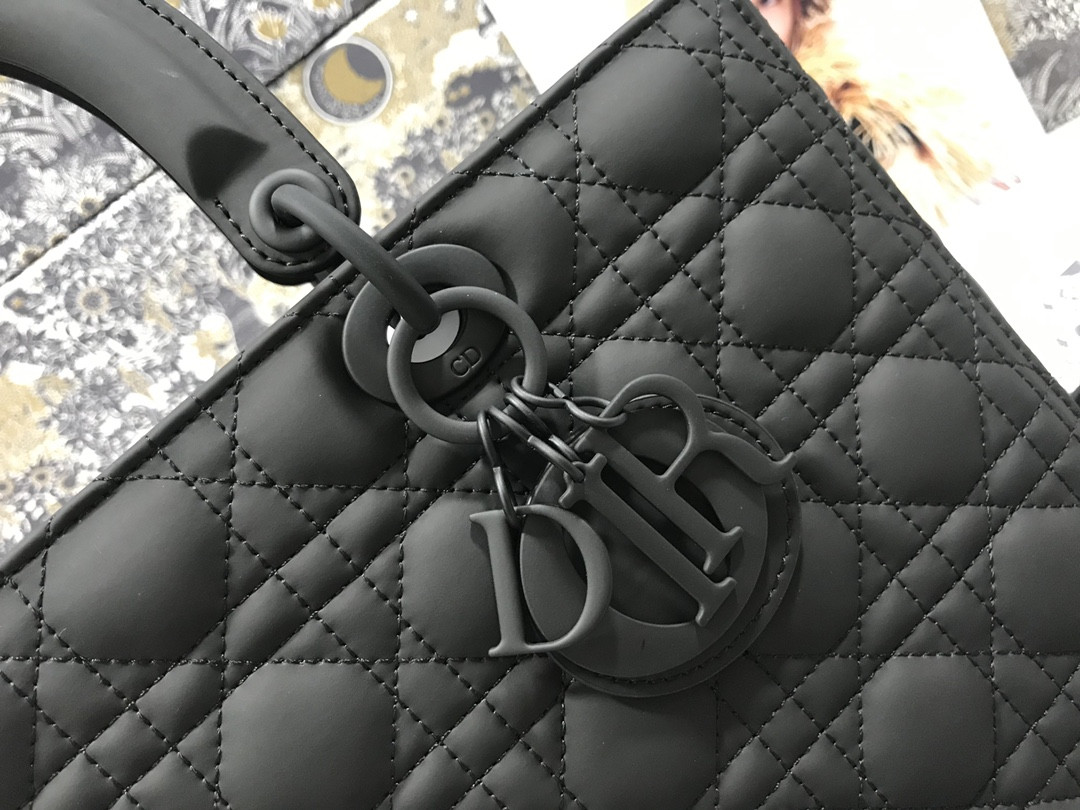 D10r Lady Bag 32 x 25 x 11cm