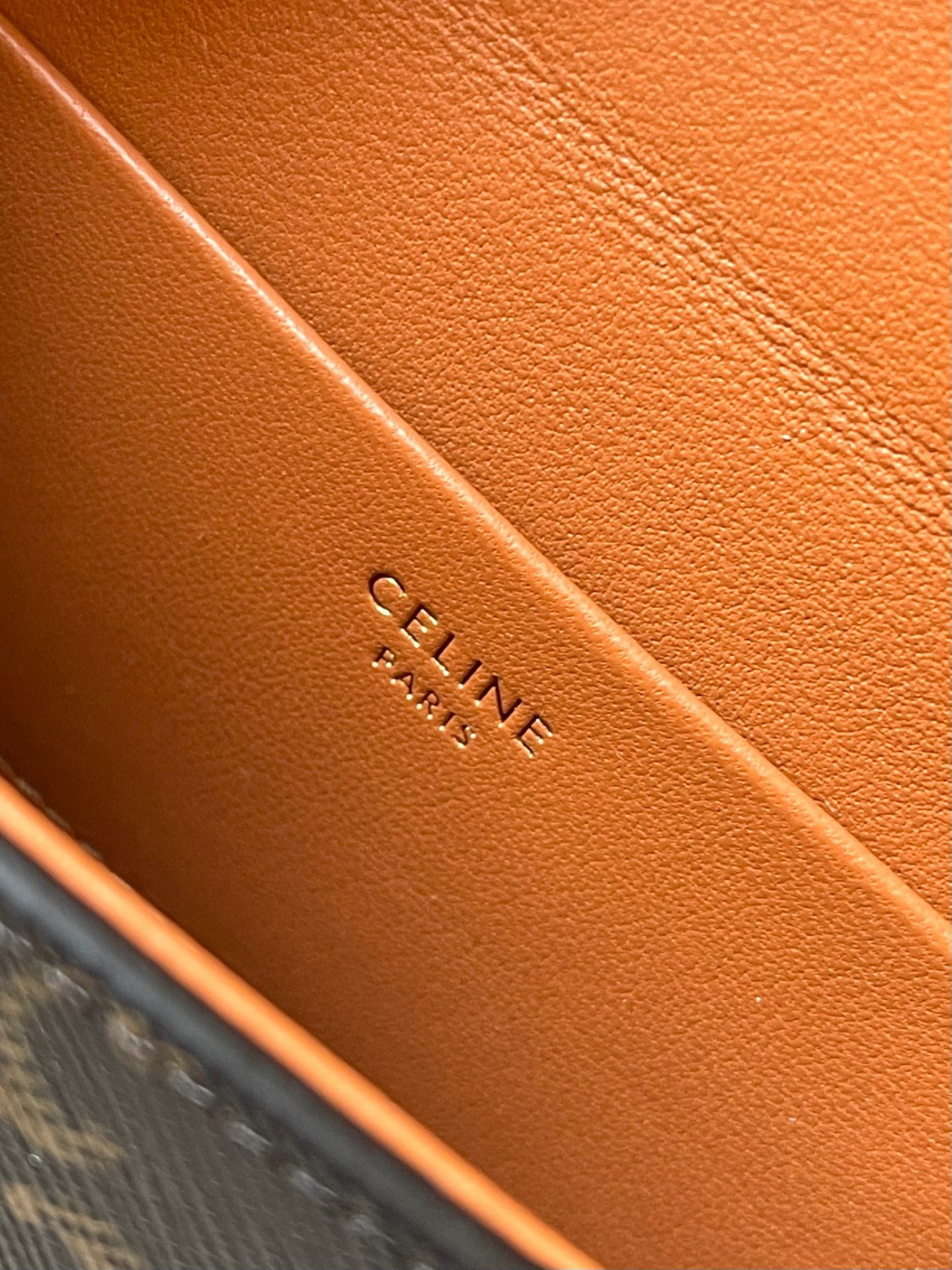 Ce1i*e SMALL BOX BLANDINE in Triomphe Canvas and Calfskin 16x12x4cm